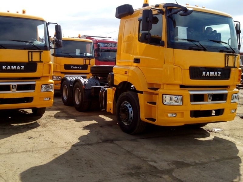 КАМАЗ 65206-005-87(S5)
