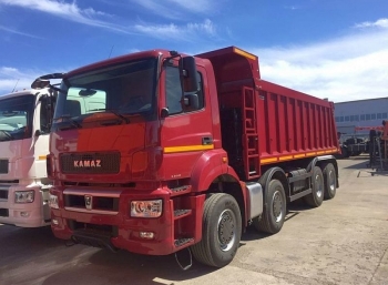 КАМАЗ 65201-001-49(B5)